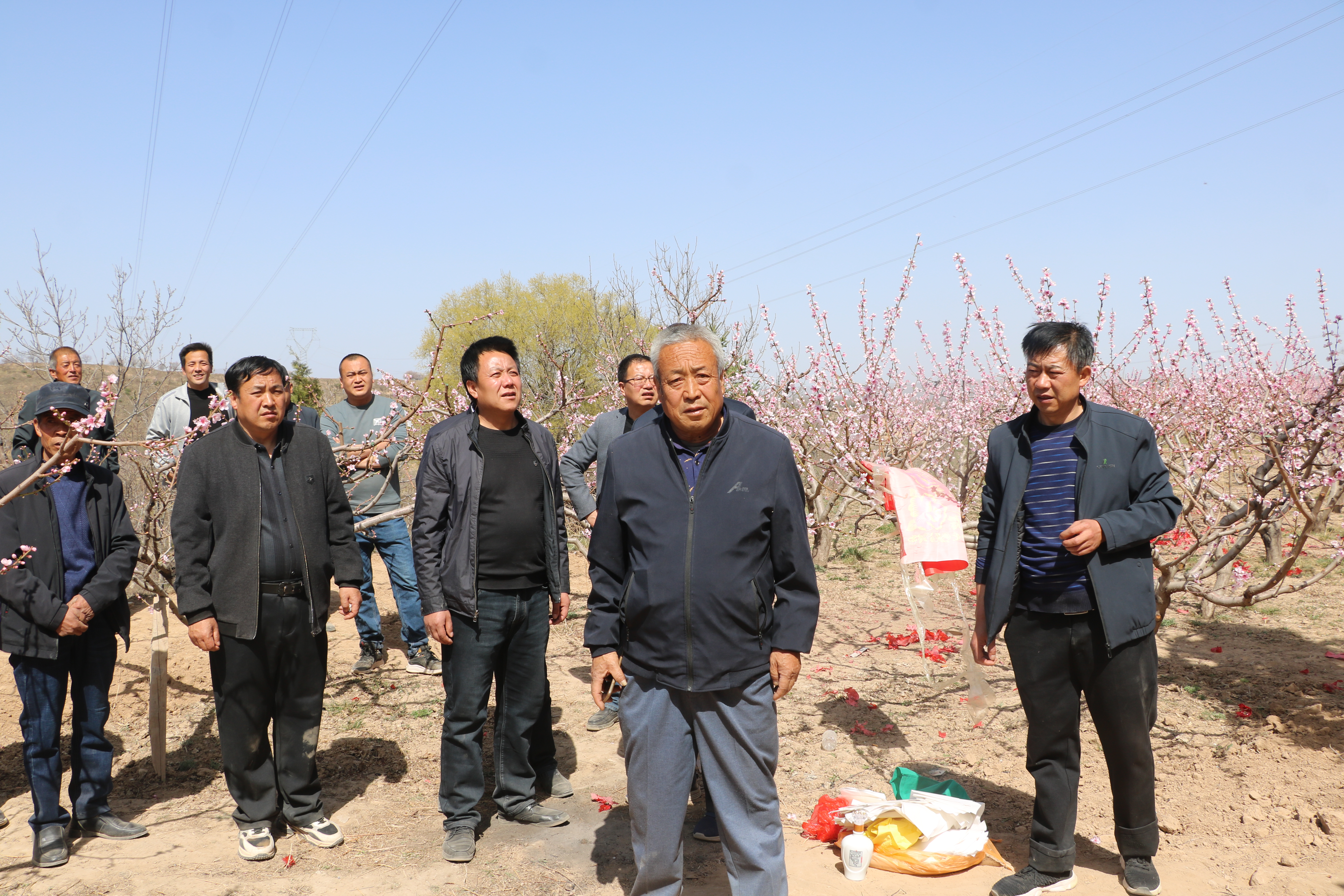 「清明立碑」怀念父母，祭奠哀思