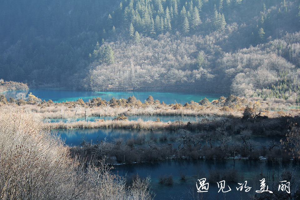 如果一生只去一次九寨沟，如何游玩才能不留遗憾？超详细游记攻略