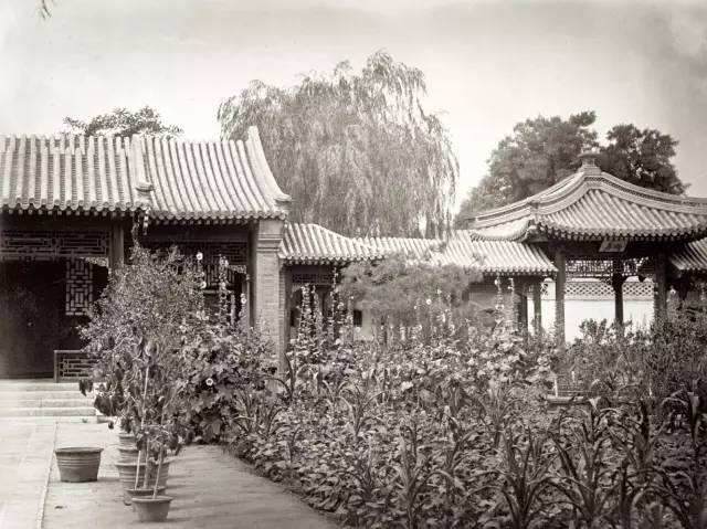 江苏母亲守寡54年，一连培养出13个博士，总结出15字的教子经