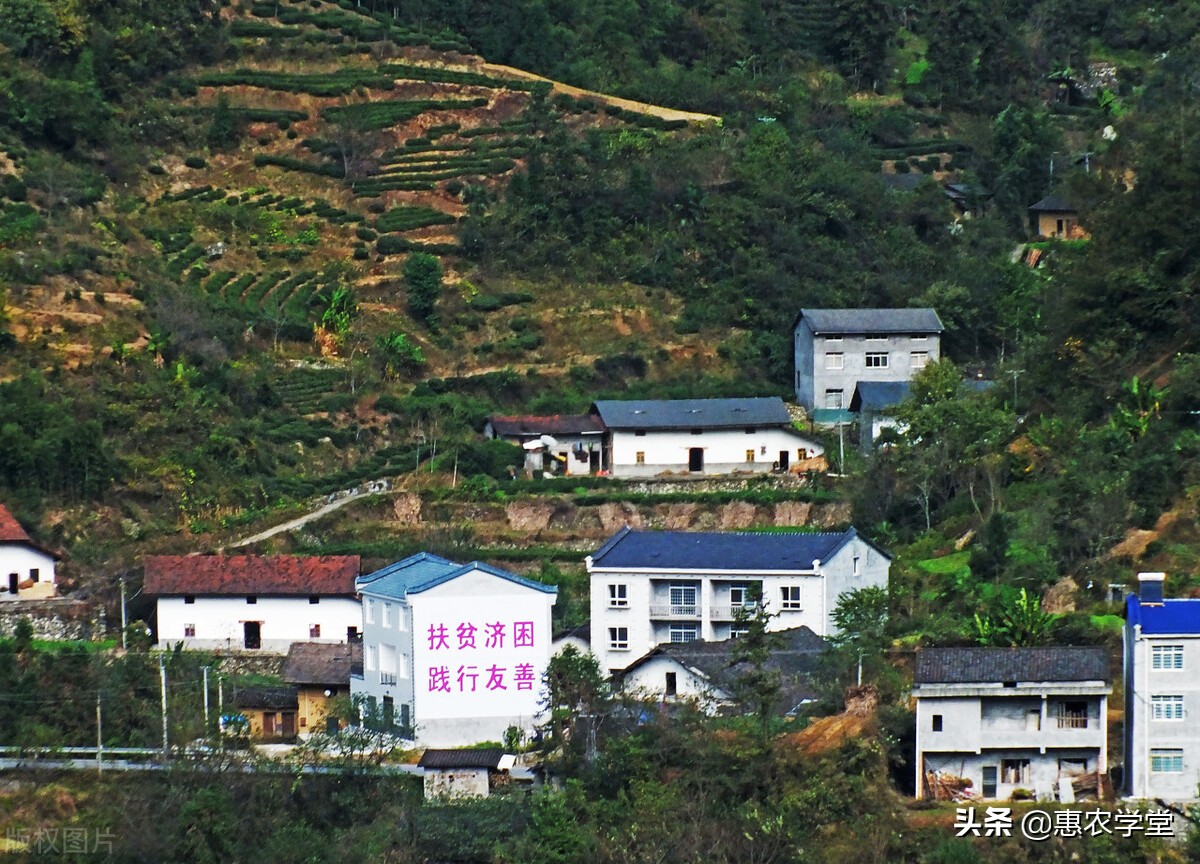 农村两兄弟分户需要什么条件？只有一个宅基地如何分？一文解惑