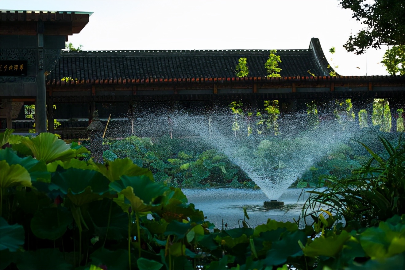 浙江宁波善园简介浙江宁波善园简介浙江宁波善园简介