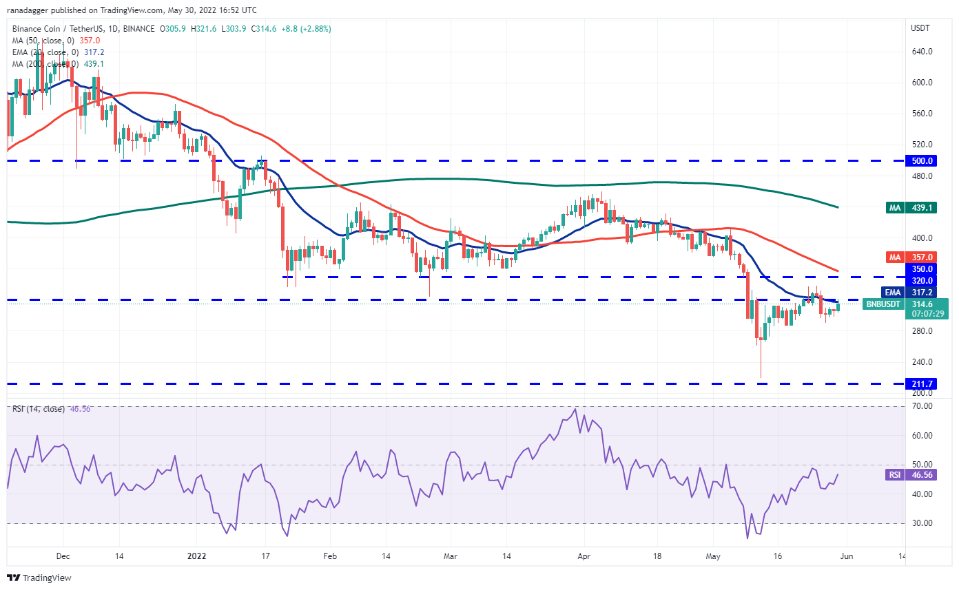 价格分析 BTC、ETH、BNB、XRP、ADA、SOL、DOGE、DOT、AVAX、SHIB