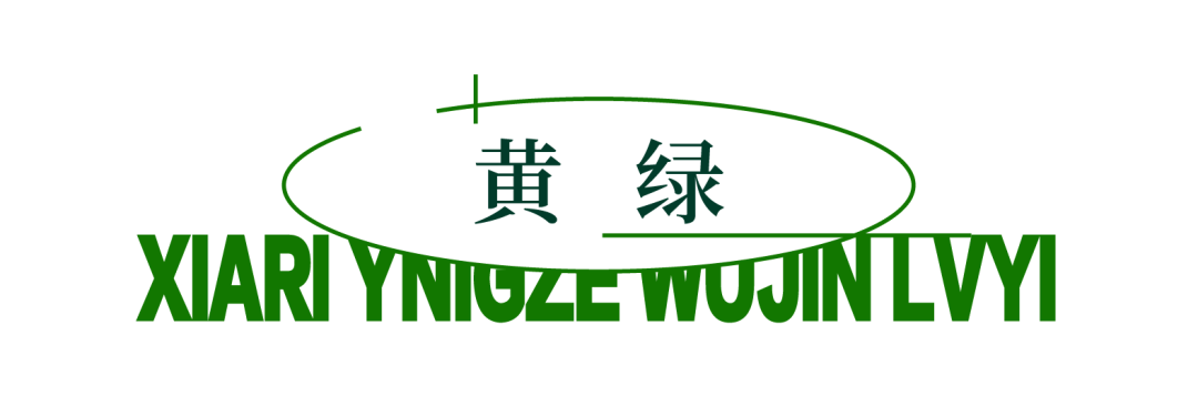 夏日迎泽，行走在无尽绿意中