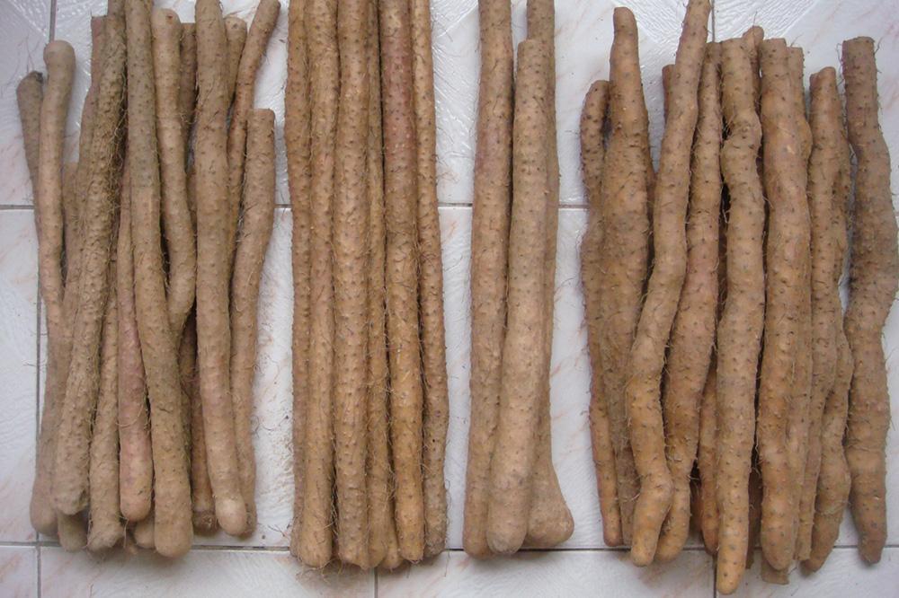 中老年人主食要少吃米面？建议：吃这3种主食，低碳水饱腹感强