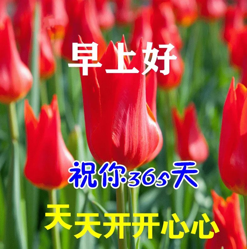 2022.04.23早安心语，唯美正能量努力奋斗句子，愿你每天开开心心