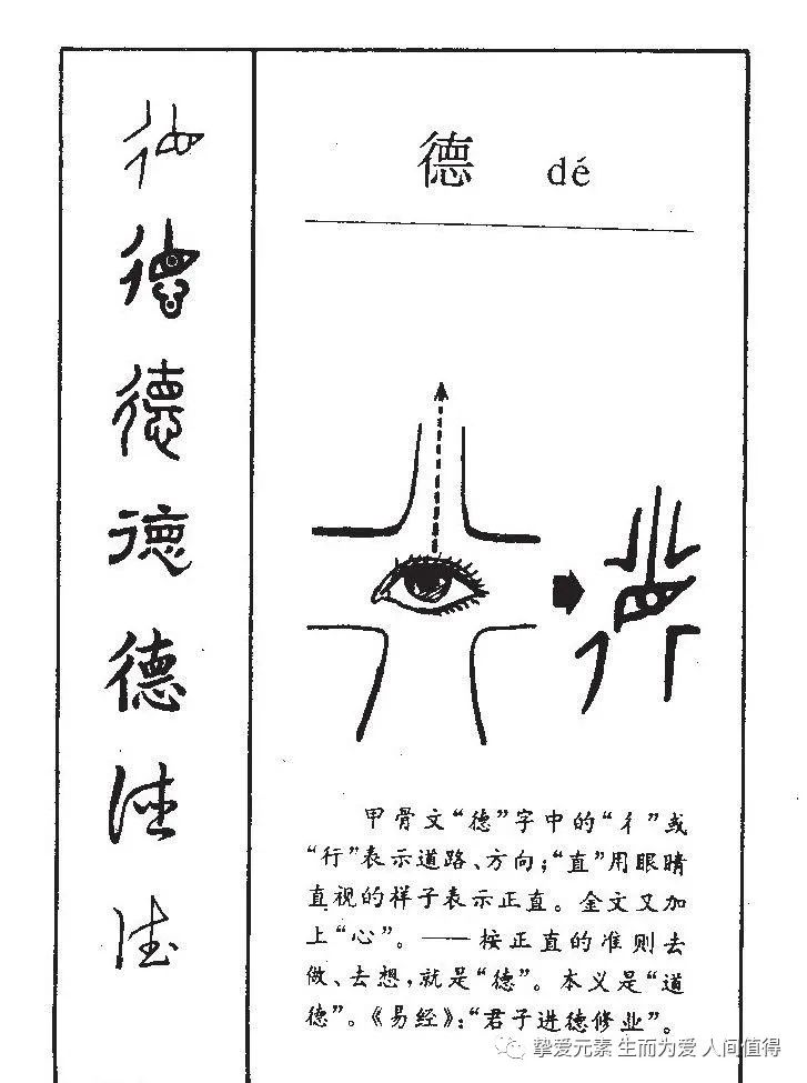 原来爱因斯坦和杨振宁才是最了解老子《道德经》的人