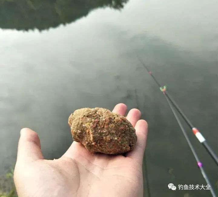 春钓滩钓着钓着就停口，原来是我们把鱼”吓“跑了，新手更容易犯