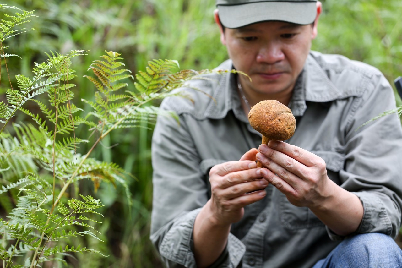 大棚蔬菜种植利润,农村大棚蔬菜种植利润