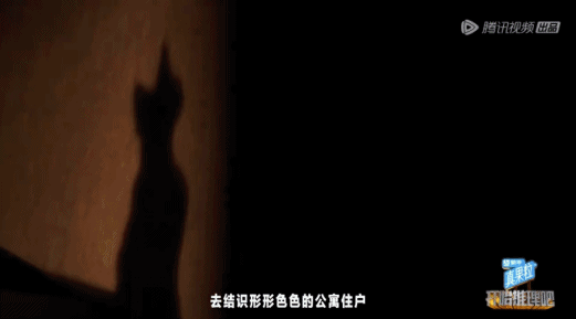 推理综艺都卷出这种高度了