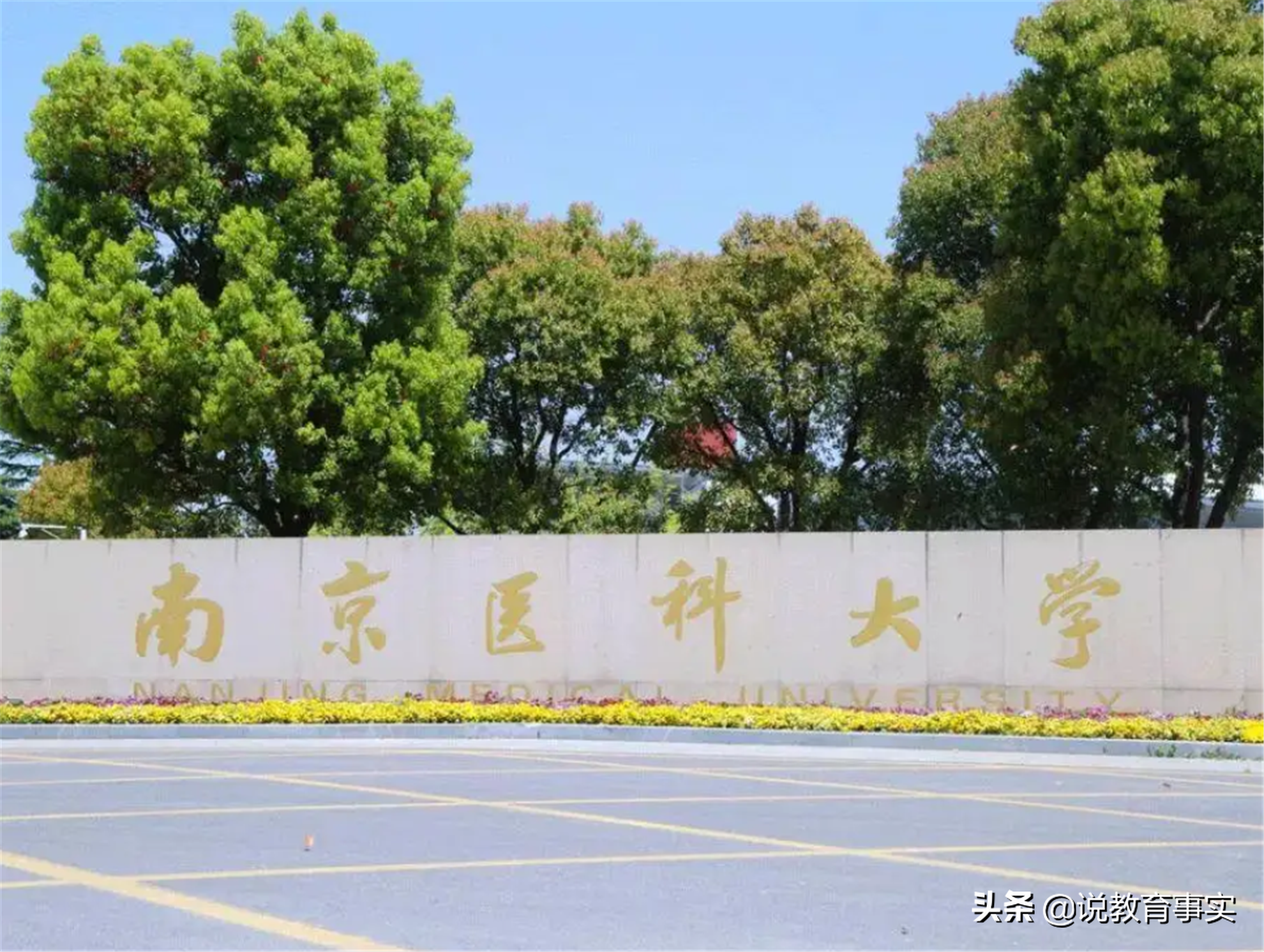 7所新晋双一流大学，2所医学类高校上榜，南方医科大学成最大遗憾