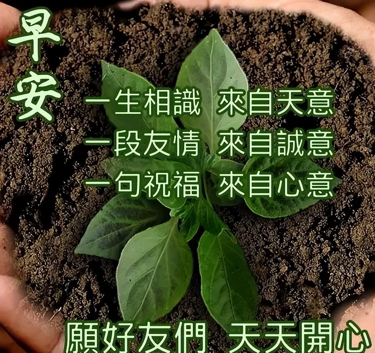 ​微信早上好图片表情祝福 新版早安问候语阳光正能量句子图片