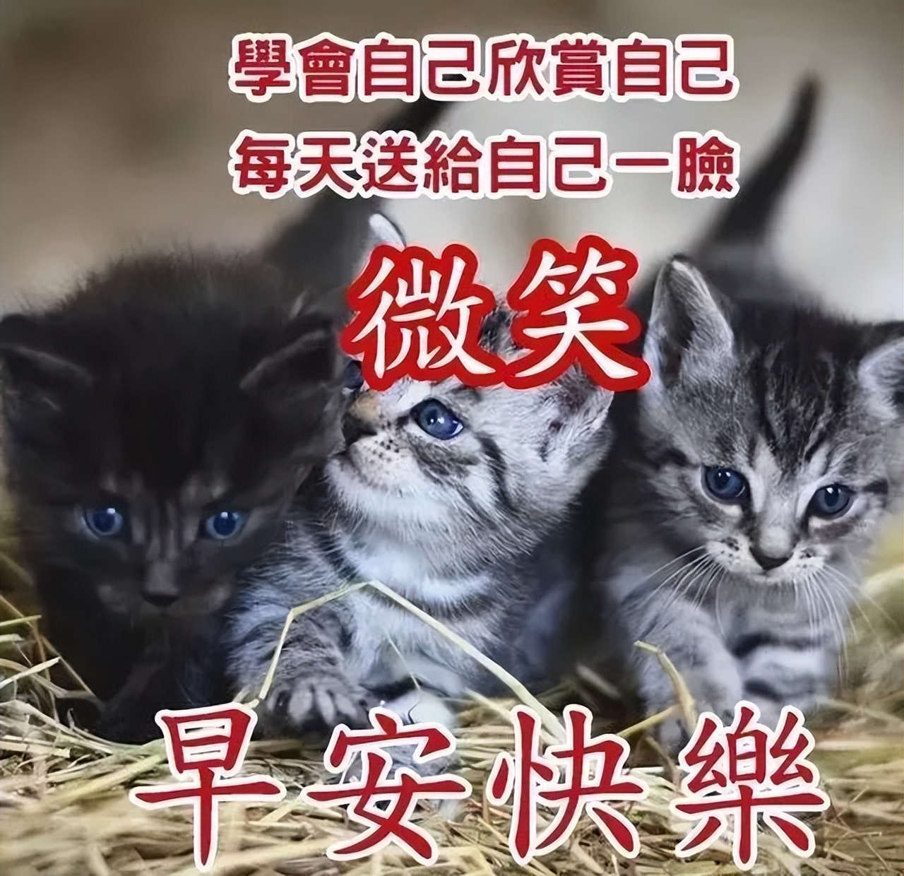 秋天早上好祝福语图片带字早上好表情包精选 幸福满满、快乐每一天图片