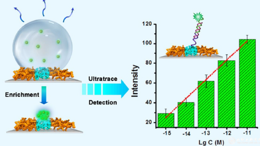 藻胶复合材料中的填料比，对抗弯性能的影响