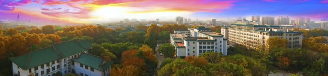 2022高考武汉高校报考指南