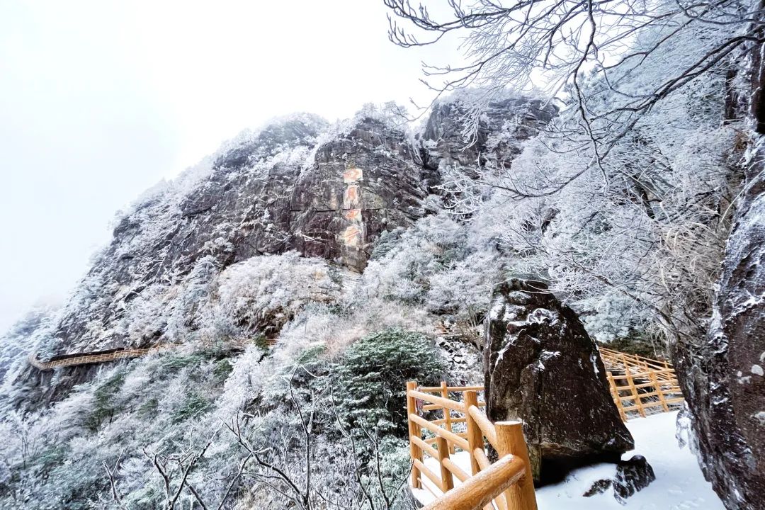 明月山下雪啦！大雪如期而至，就等你了！