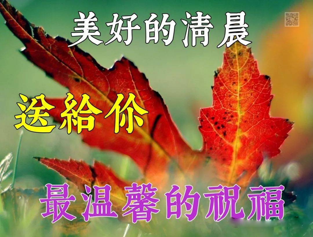 好看的早上好表情包 朋友圈早上好祝福语 健康才是生活最大的意义图片