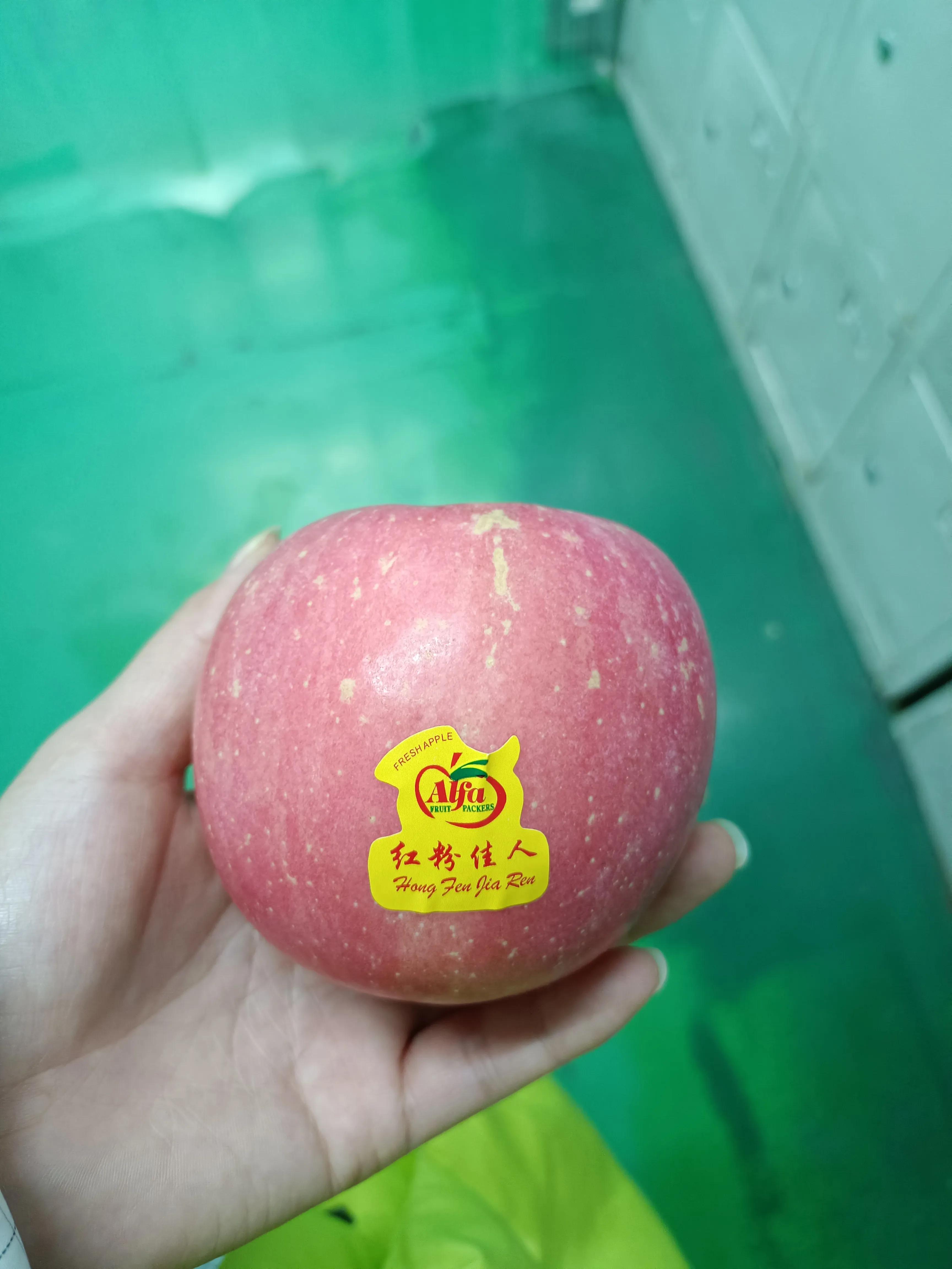 平安夜收到的礼物（平安夜没有收到礼物）