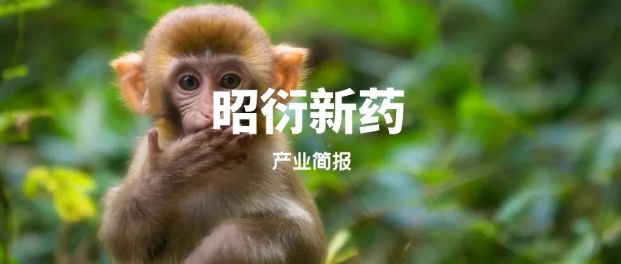 产业简报｜昭衍新药22775只猴子，这个资产特别重要