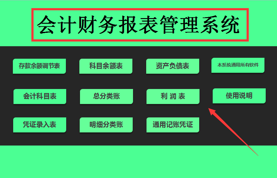 资深会计花了一个月做成会计财务报表系统，比买的都香！太好用了