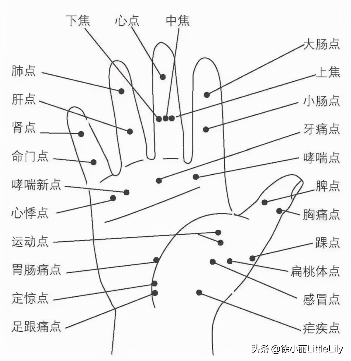 灸法选穴的基本原则