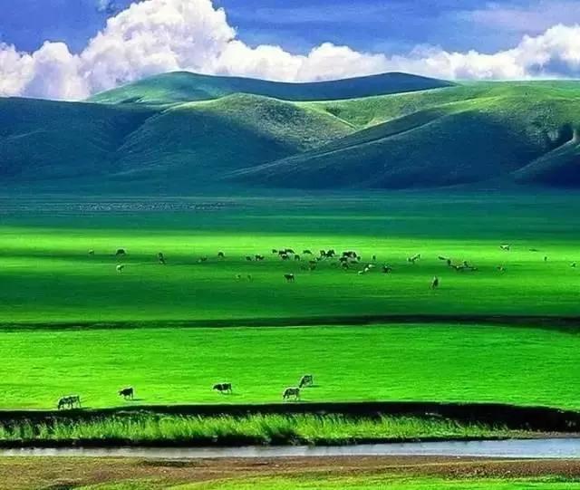 美丽的草原，我来了