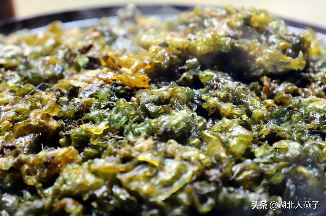 夏季摘野菜，送你61种野菜大图鉴，让你轻松认识各种野菜和吃法