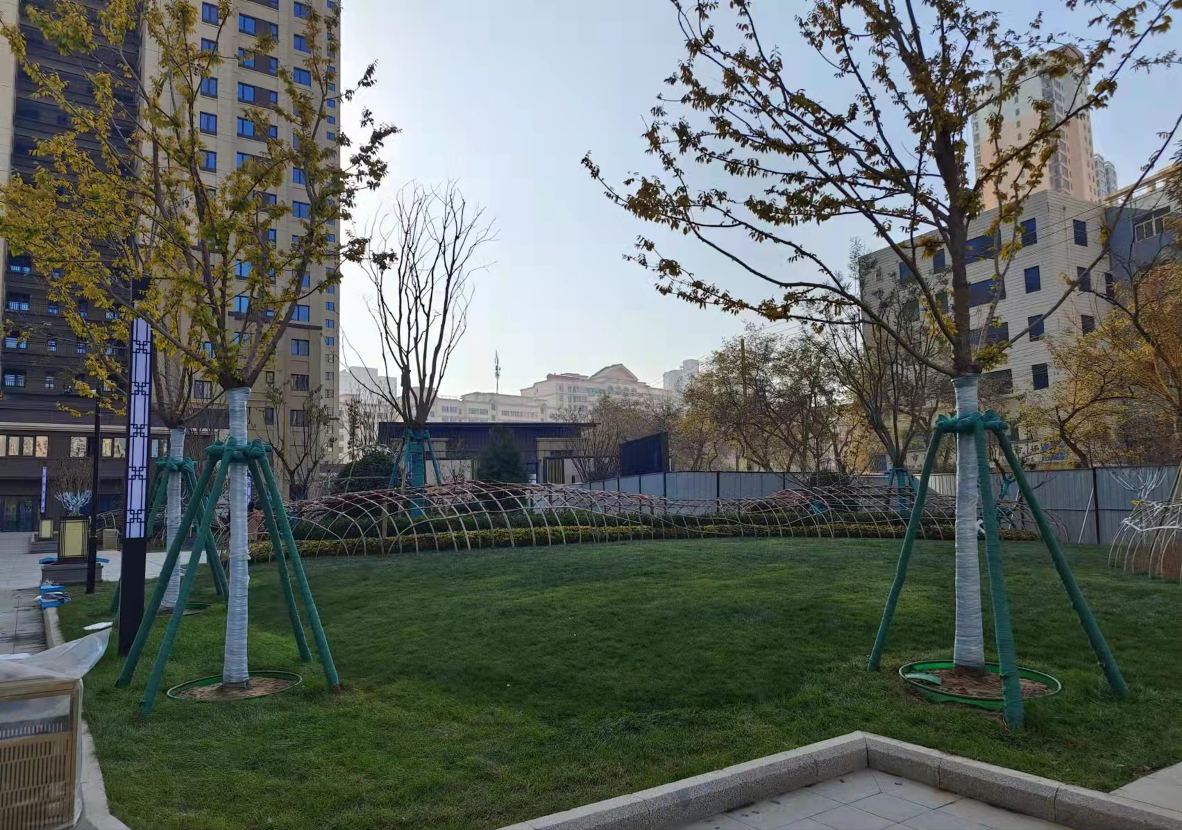 西固区林草局统筹疫情防控，抓好生态建设“三篇文章”