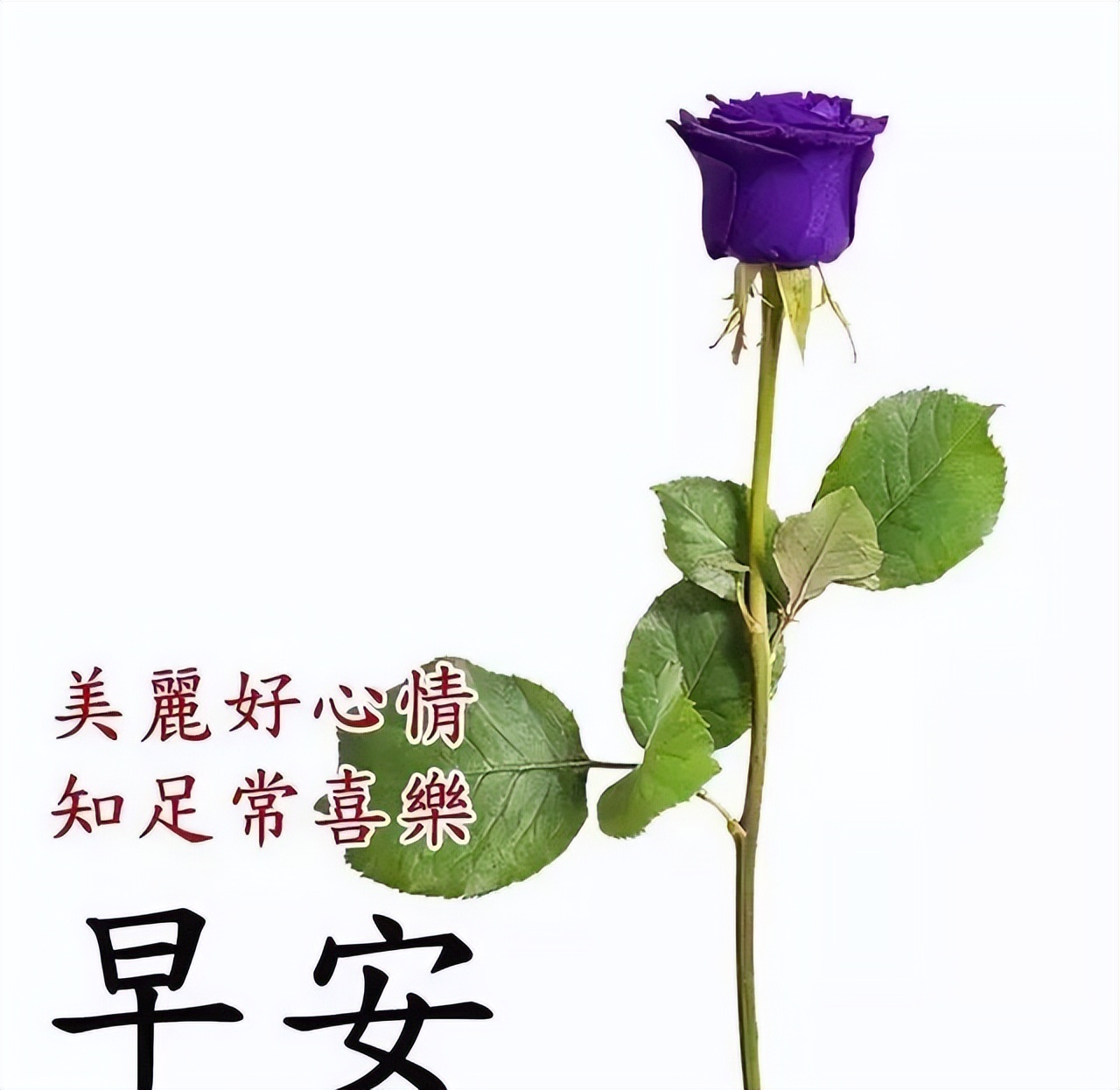 朋友圈早晨好动图美图大全 把心中最美好的问候送给你图片