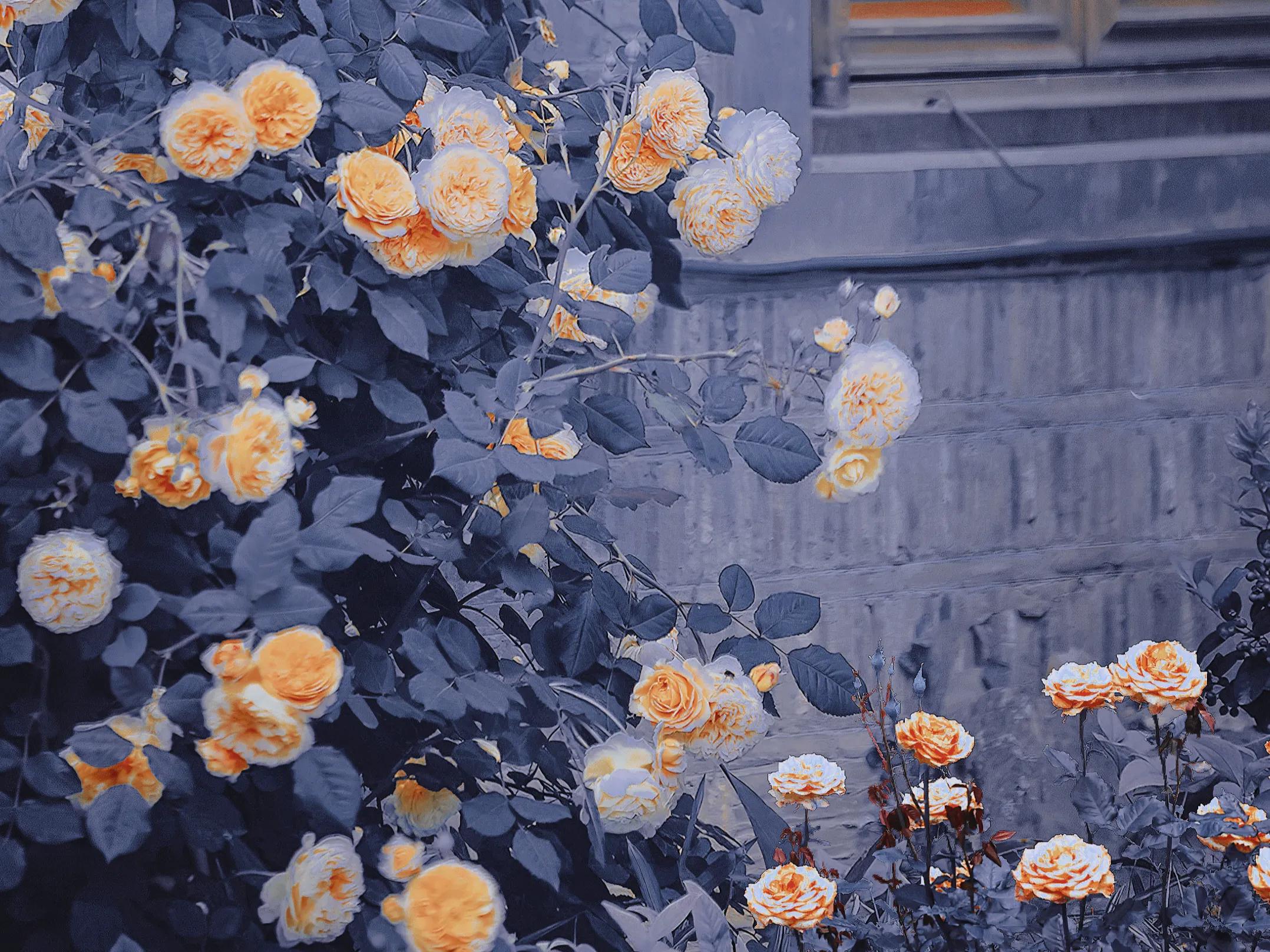 异地恋思念文案