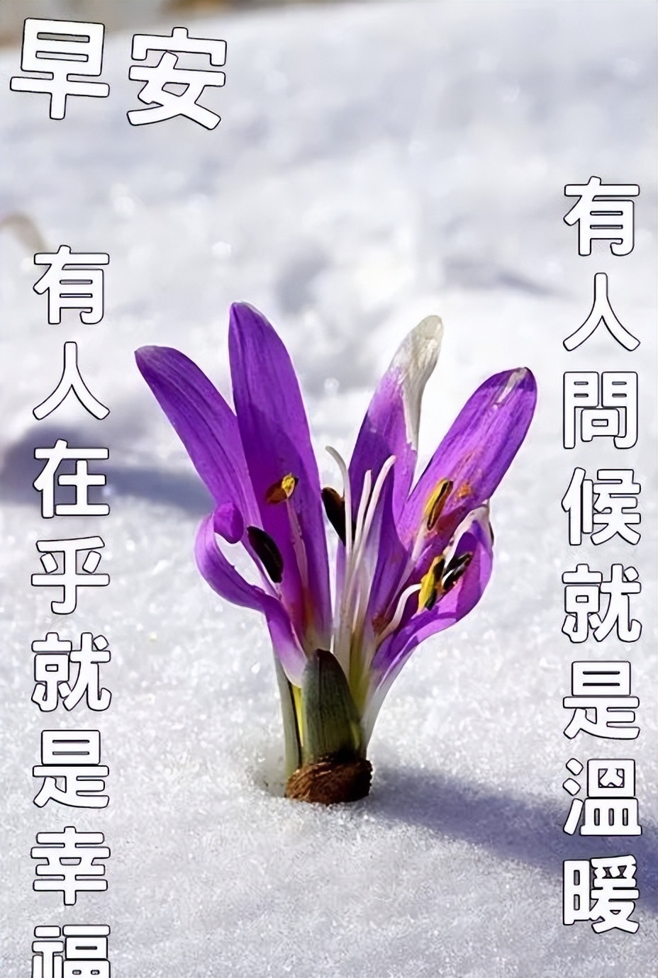朋友圈早上好问候语 早安祝福语大全 天气多变，注意别感冒图片