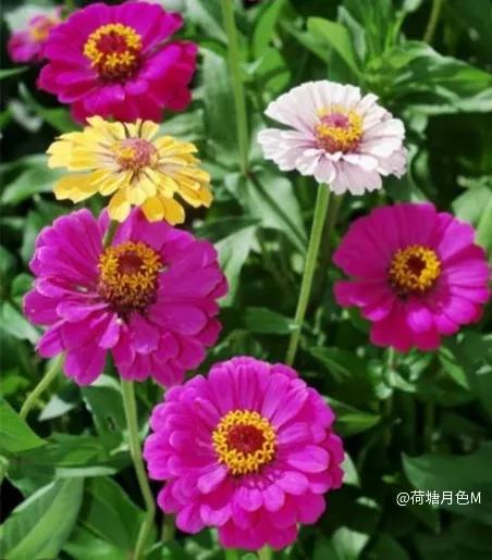 春天里，春风得意马蹄疾，一日看尽长安花