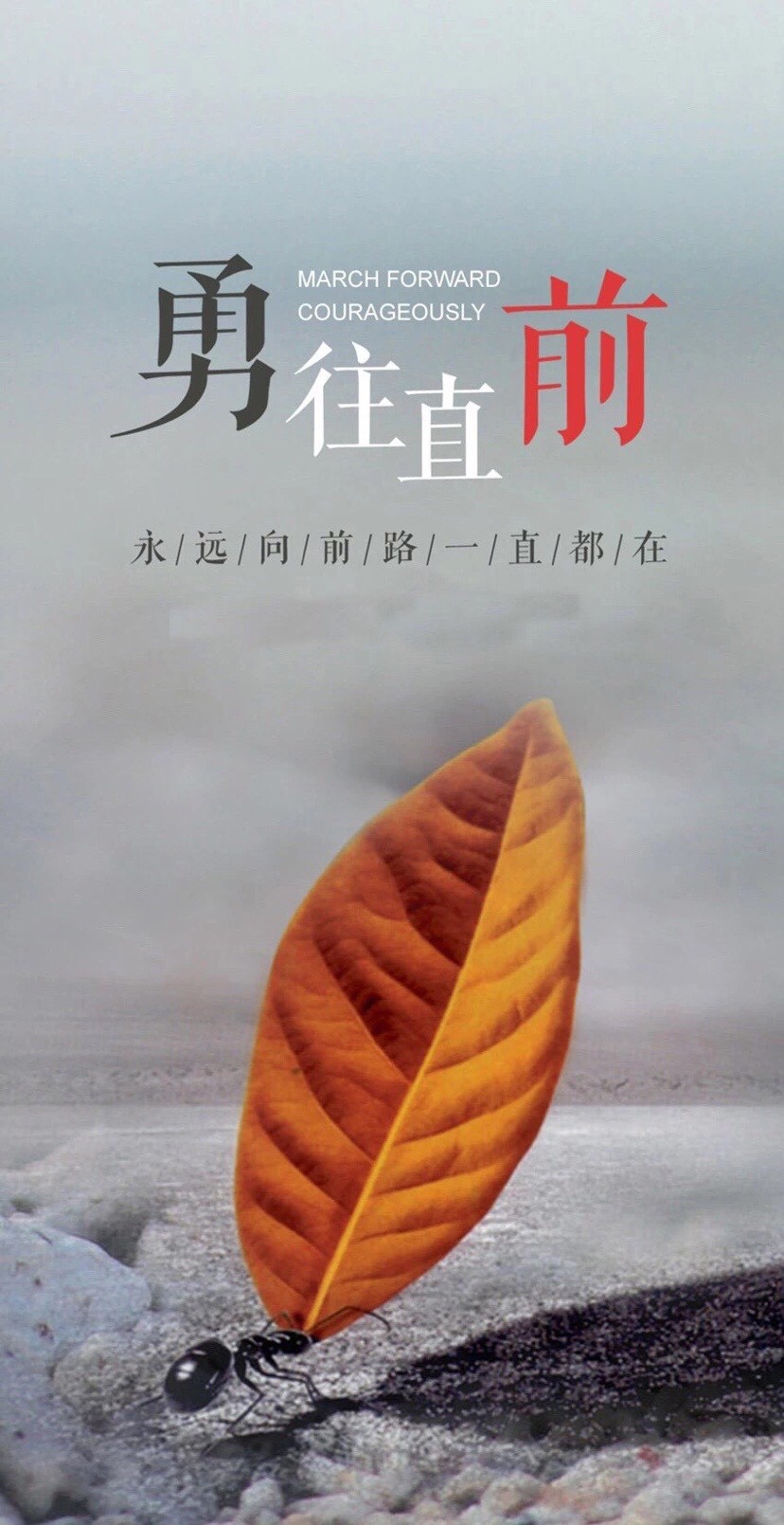 励志语录 我们要做的就是继续前行,努力努力再努力