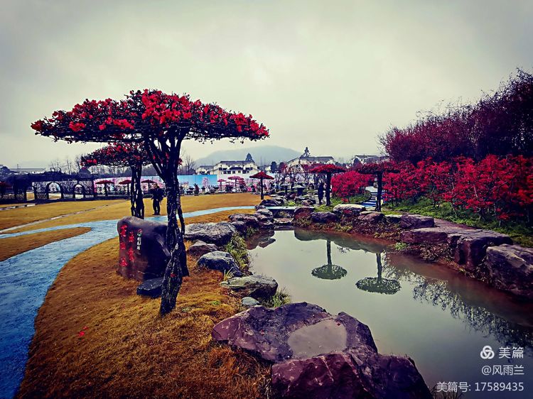 烟雨蒙蒙问花村 作者：武术兰