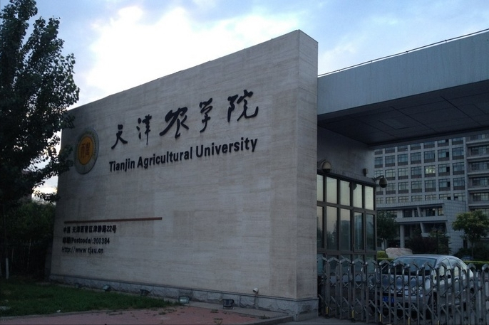 天津、杭州低分也可以上的四所院校，艺术类专业录取需要多少分？