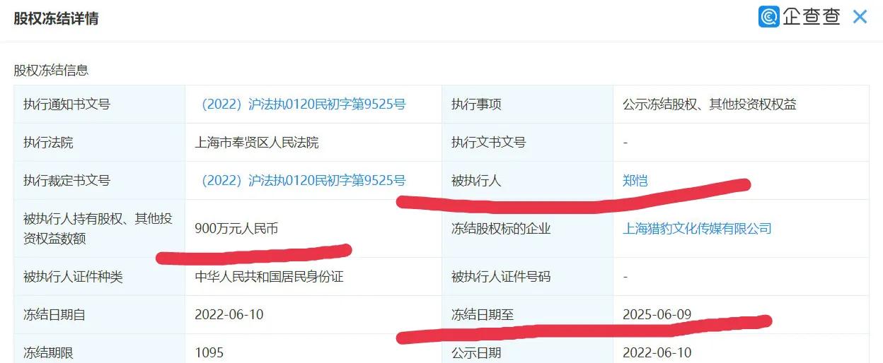 白跑了！郑凯900万股权被冻结，网友却关心他怎么火的