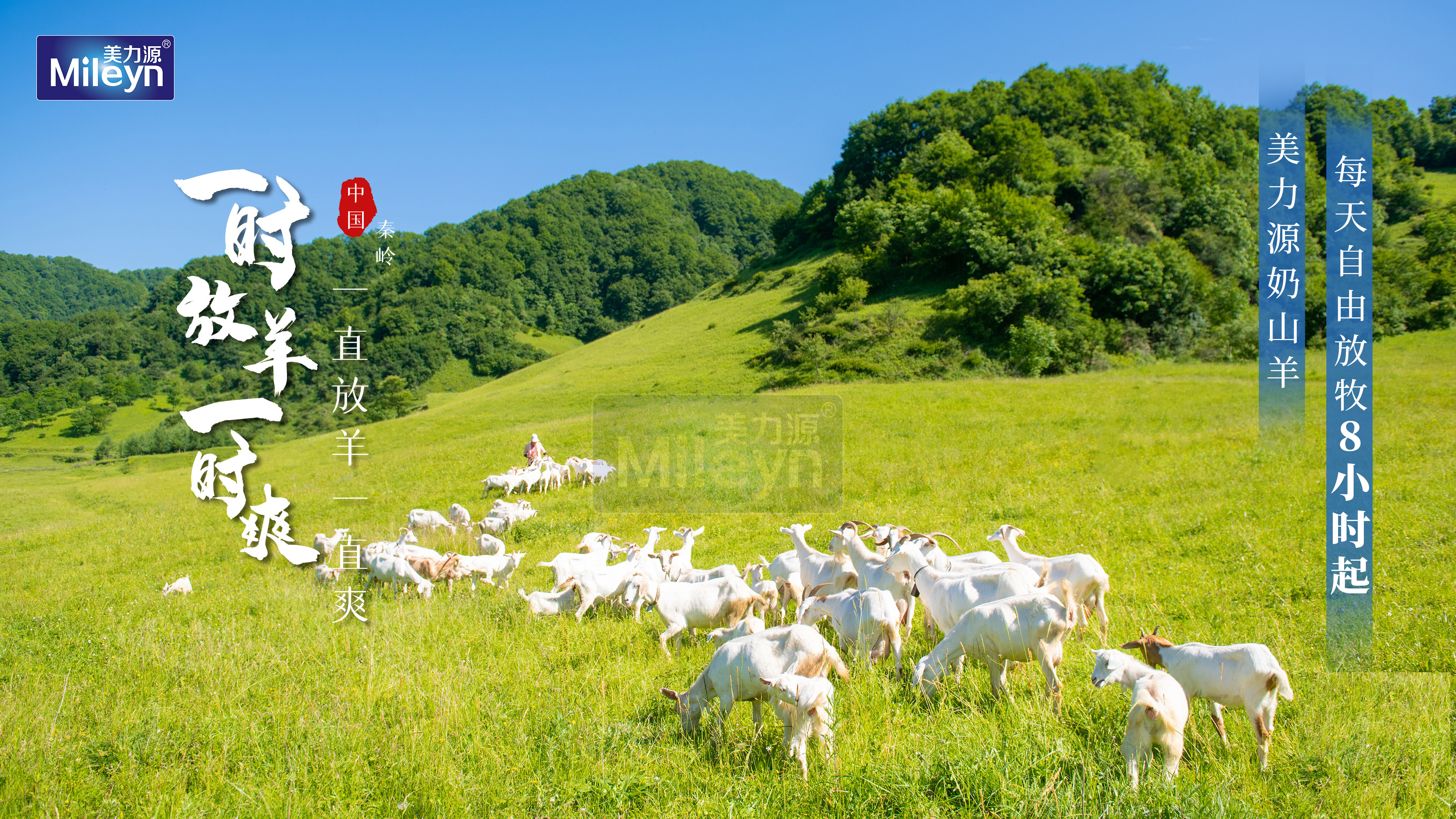 美力源实力赢获iTi国际大奖｜昂扬时代，志在未来