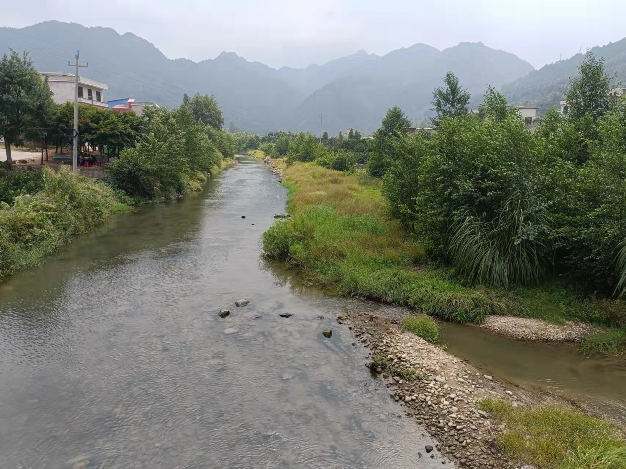 水庙镇多措并举加强河湖生态治理保护