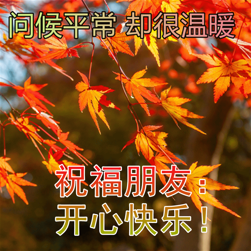 清晨暖心的早安问候祝福语短信 最好的快乐是平安 最好的平安是健康图片