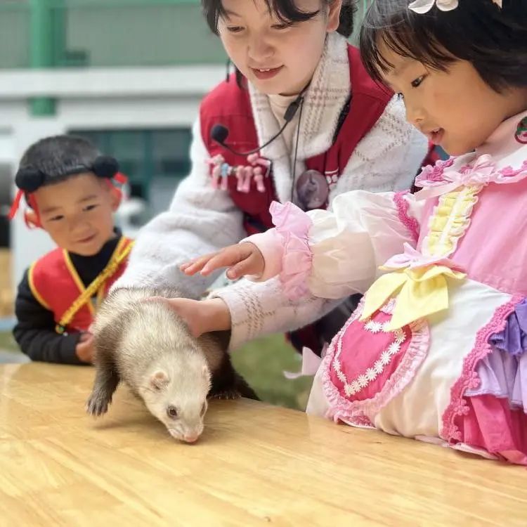 汉服体验、美食大赏、亲近野生动物……这样的春日活动真让人羡慕