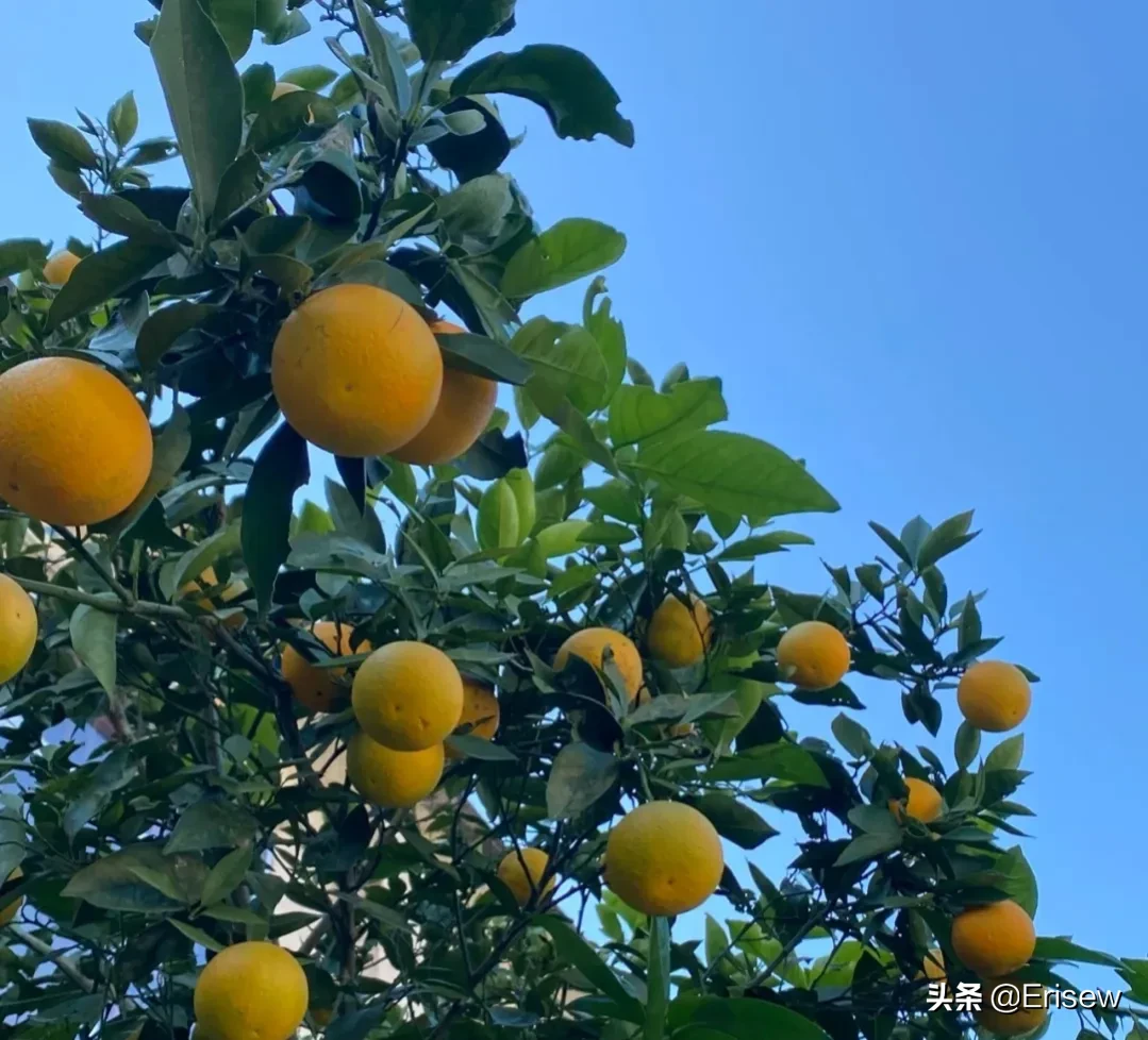 教育信息差后面会再出几期补充,选择比努力重要真的体现在方方面面