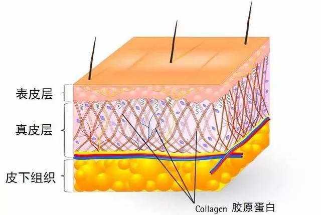 50多岁的我，是如何做到脸上没什么皱纹的？