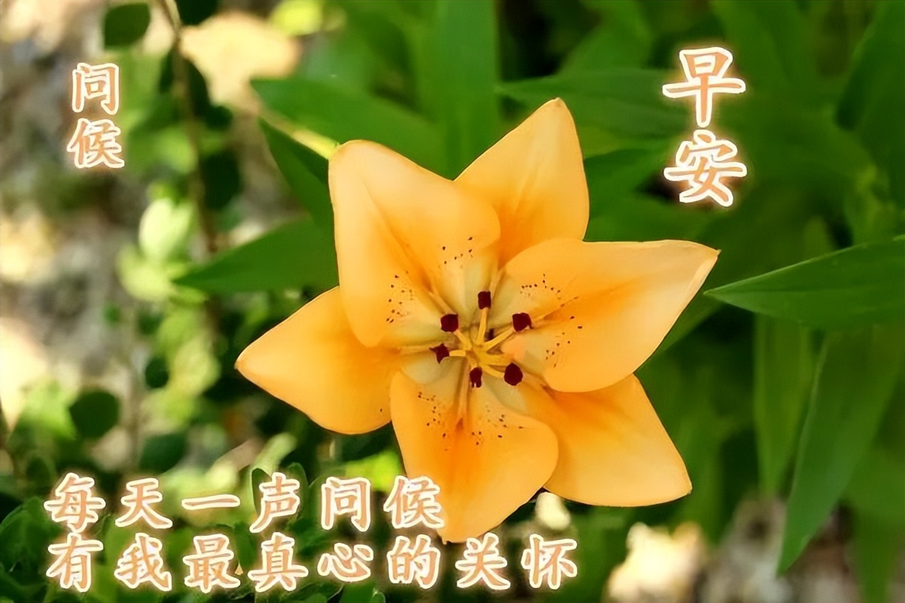 非常漂亮的早上好图片 2022早上好图片最美最新 新周快乐、吉祥安康图片