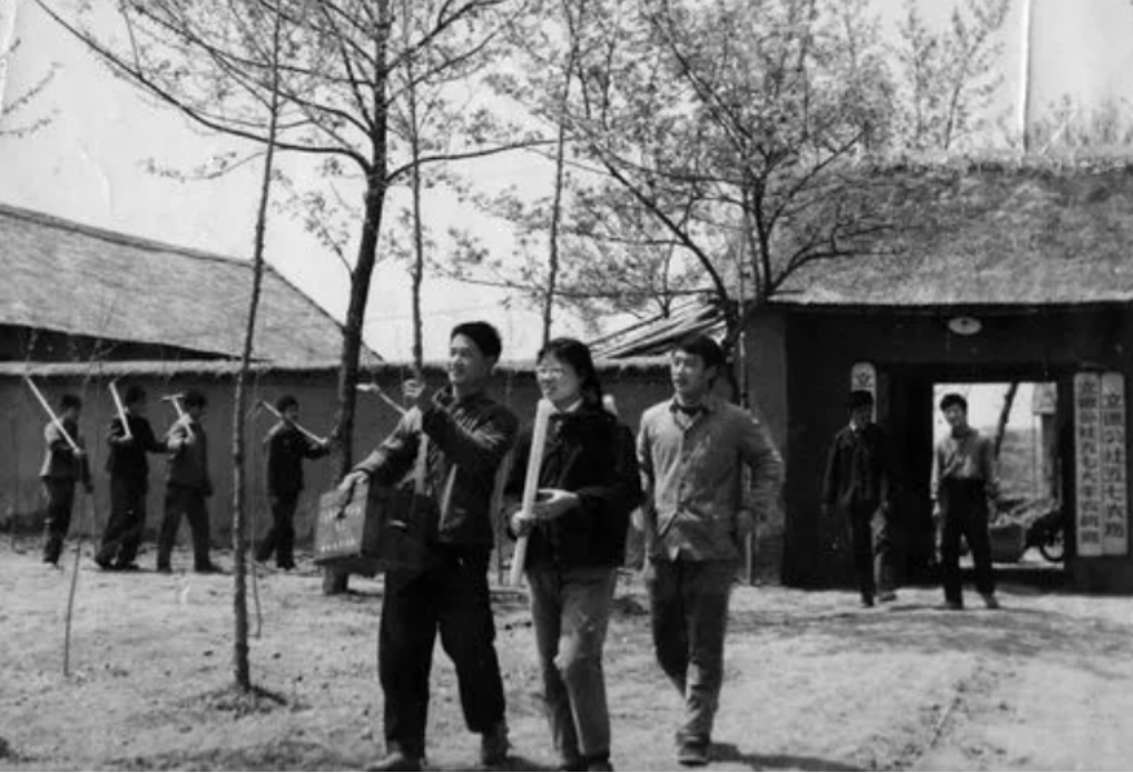 1974年，一个大学生主动退学申请传遍整个中国，周恩来特批同意