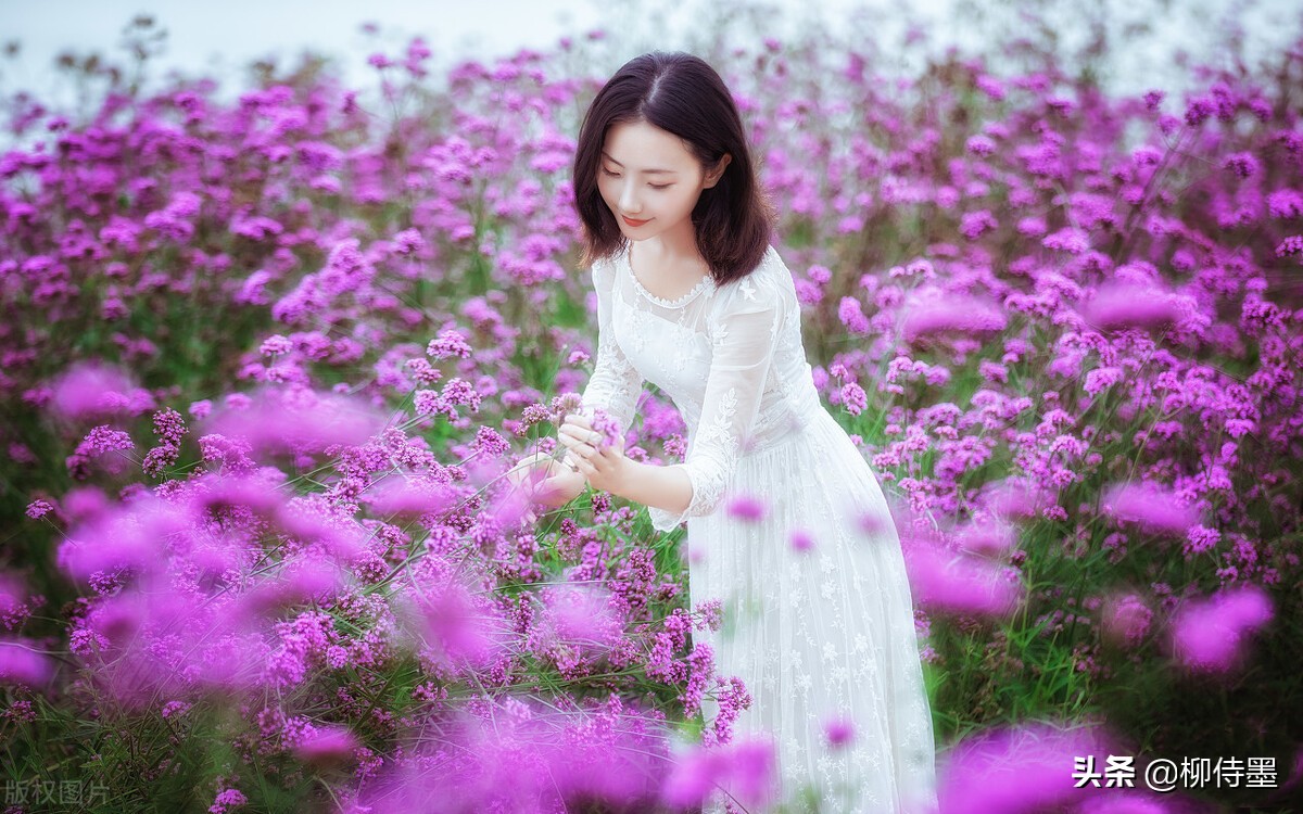 赞美老照片的唯美句子中年女性拍摄优雅人像