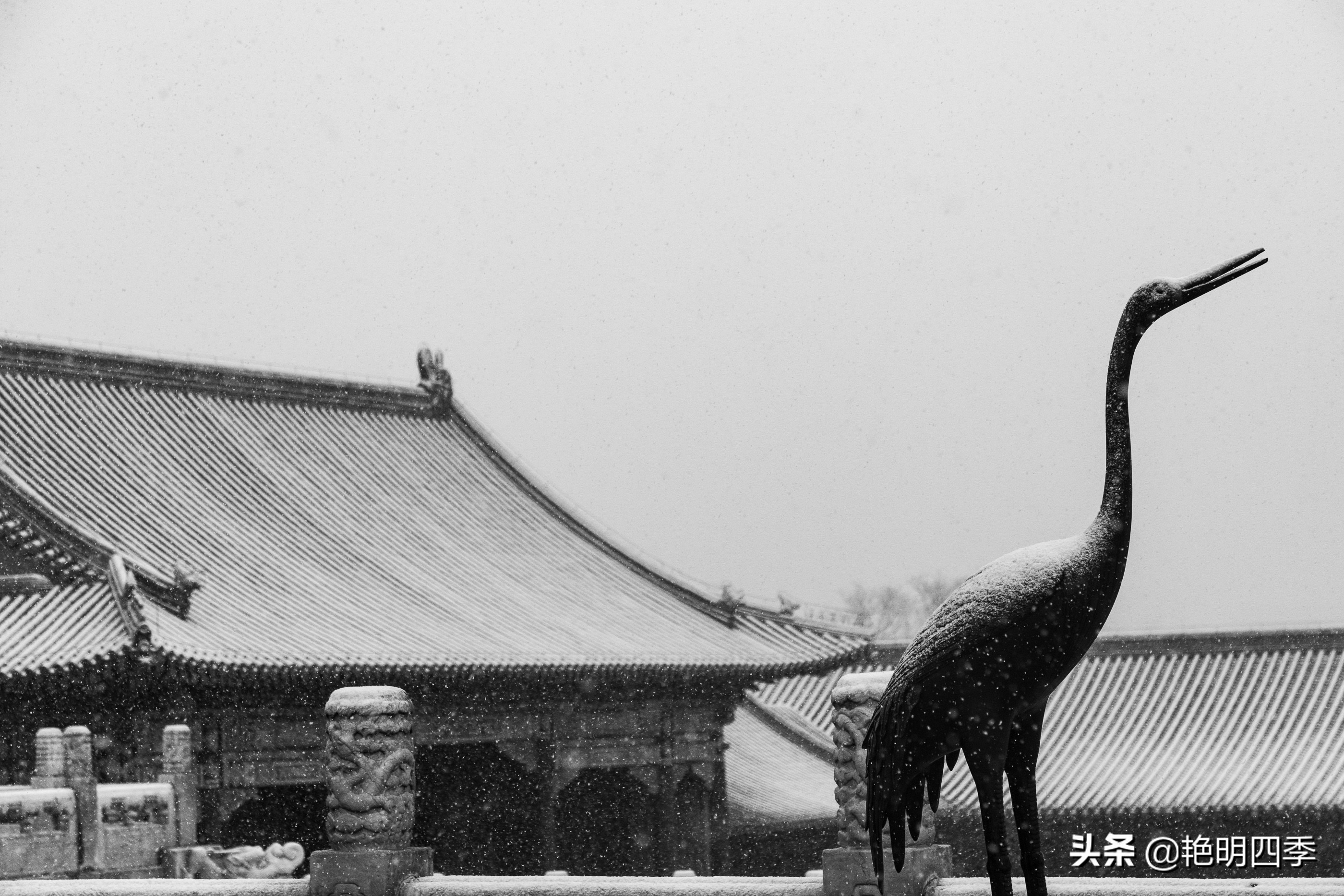 春天里，在紫禁城看一场大雪，与冬天做一个郑重的告别