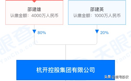 A股史上最贵新股，股权结构是如何设计的？