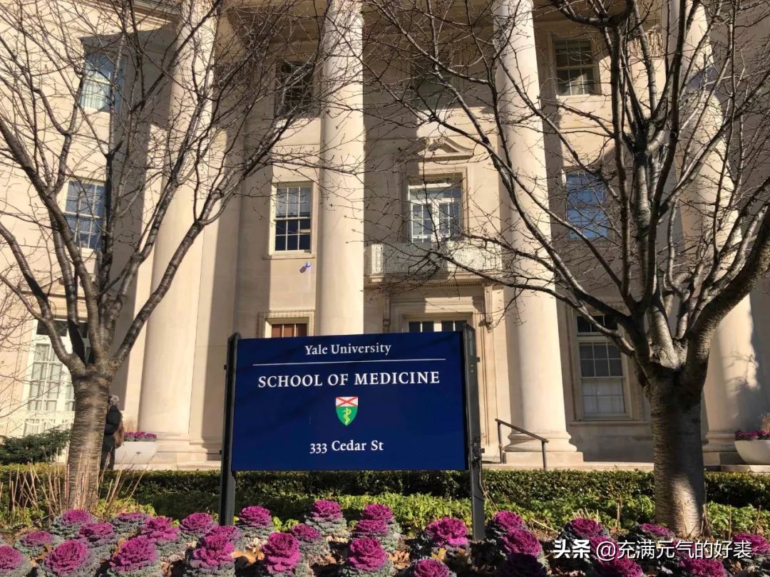 我，35岁，在耶鲁留学是一种什么幸福体验？