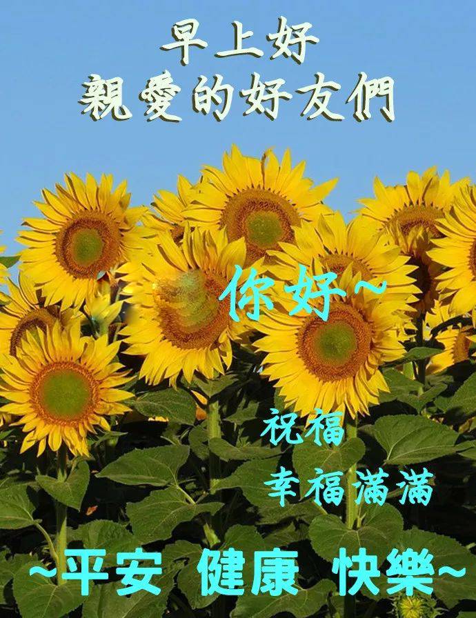 冬日清晨问候朋友早上好表情包祝福语 愿你一生被爱、一生可爱图片