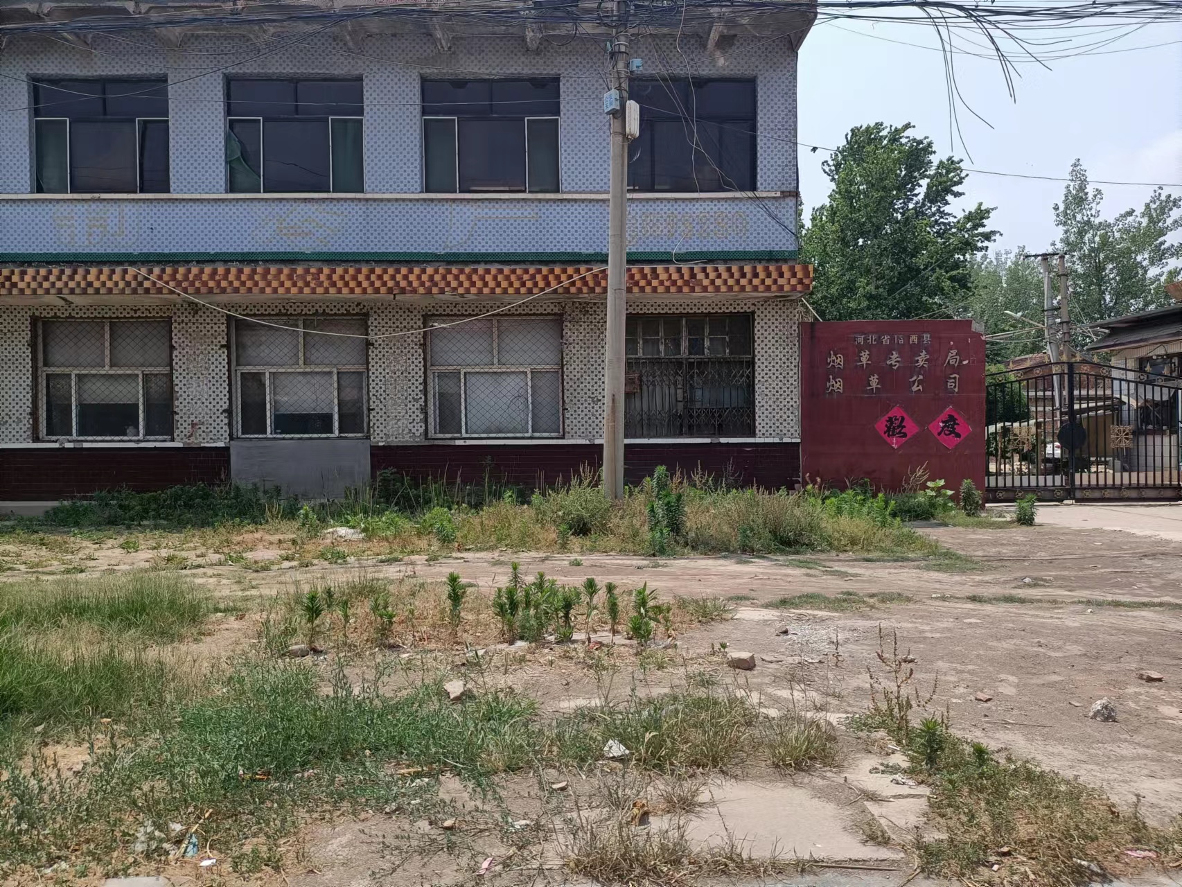 临西河西镇：垃圾杂草遍地 何谈打造美丽乡村？