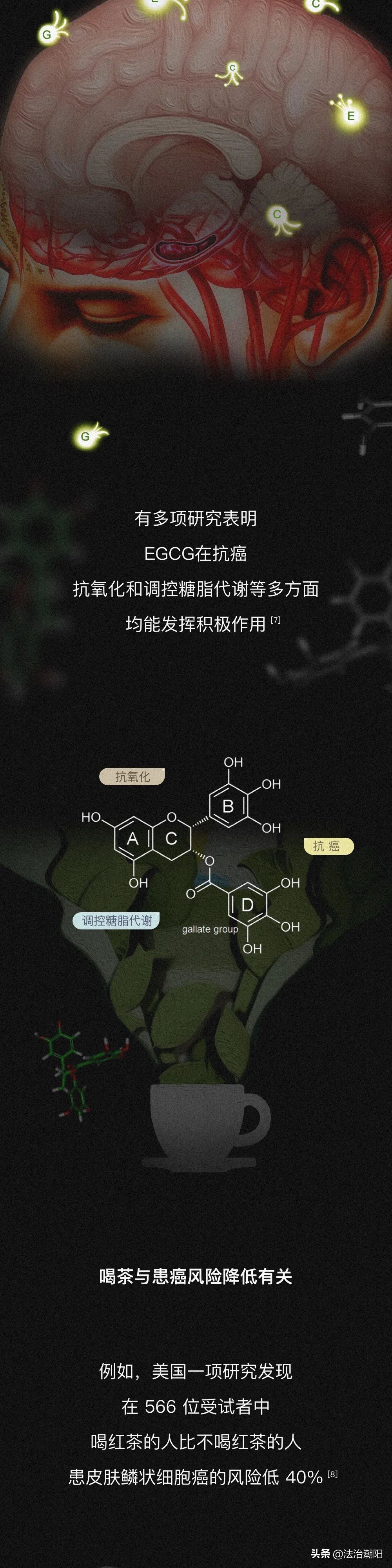 长期喝茶，身体会有什么变化？